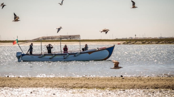 Turismo do Algarve mant&eacute;m atratividade apesar da a incerteza global 