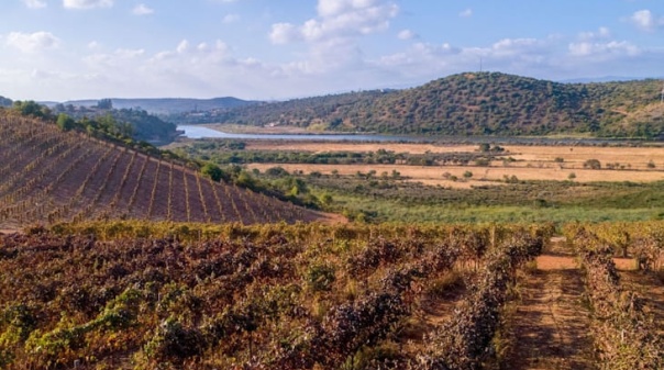 Algarve d&aacute; a conhecer a sua autenticidade ao mercado espanhol 