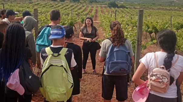 Alunos de Silves descobriram mais sobre geologia, produ&ccedil;&atilde;o local, hist&oacute;ria e cultura