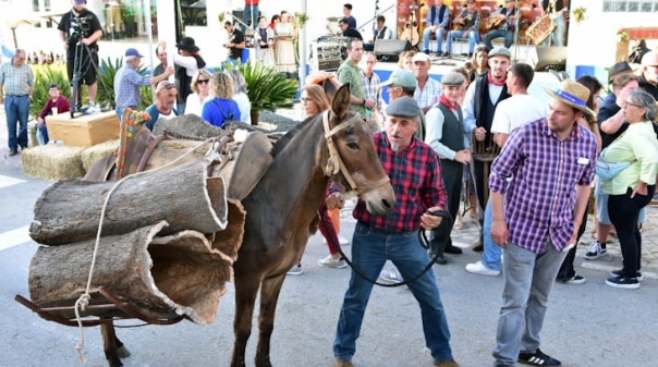 Grupo Vizinhos anima Festa da Espiga em Salir 