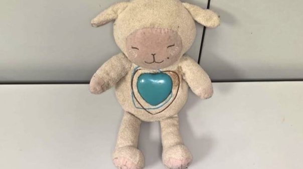 Traficante esconde coca&iacute;na em boneco de peluche 