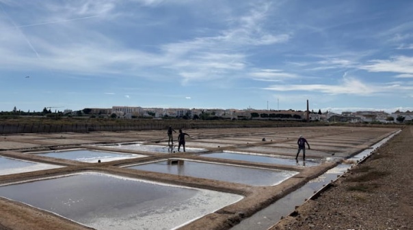 Quer descobrir mais sobre as salinas de Tavira? Inscreva-se na visita orientada