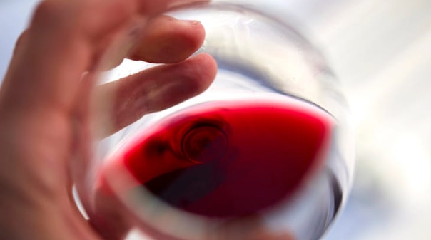 Cabrita Reserva Tinto 2024 venceu Concurso de Vinhos do Algarve