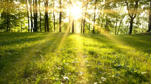 Benef&iacute;cios de estar em contacto com a natureza