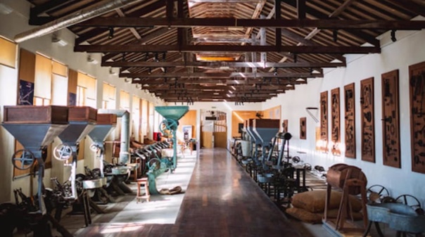 16 anos depois, Museu da Corti&ccedil;a reabre em Silves na hist&oacute;rica F&aacute;brica do Ingl&ecirc;s 