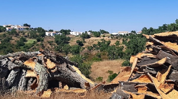 Mestrado em Gest&atilde;o Sustent&aacute;vel dos Espa&ccedil;os Rurais apresentado em S&atilde;o Br&aacute;s de Alportel