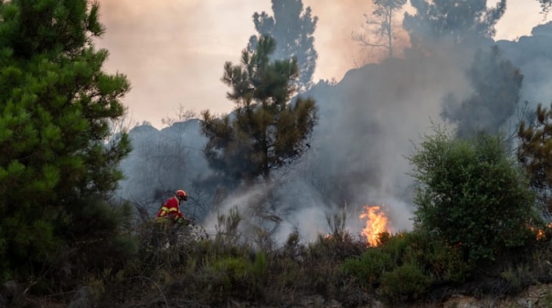 Fogo no Ameixial provoca ferimentos ligeiros em tr&ecirc;s bombeiros 