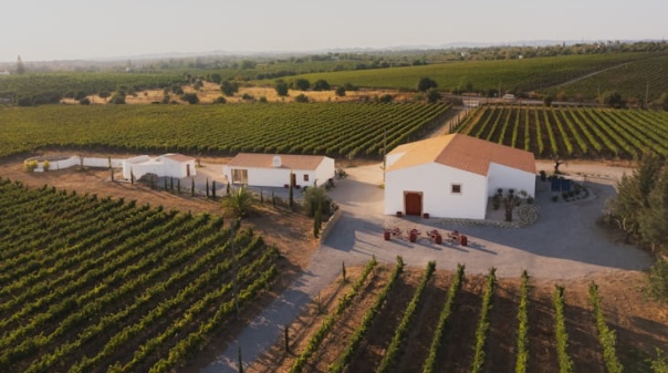 Programa &ldquo;Cabaz da Terra&rdquo; promove visita dedicada aos vinhos do concelho de Tavira 