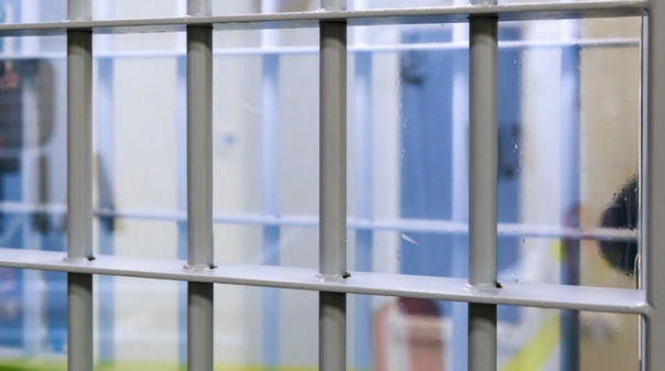 Pris&atilde;o preventiva para suspeita de matar a m&atilde;e e soterrar cad&aacute;ver em Olh&atilde;o