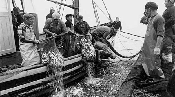 Exposi&ccedil;&atilde;o sobre a hist&oacute;ria da pesca em Portim&atilde;o vai ser inaugurada na Pra&ccedil;a Manuel Teixeira Gomes