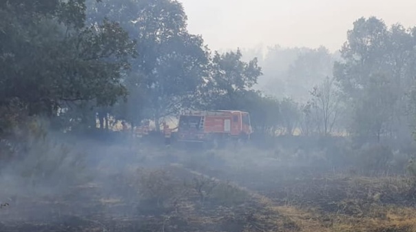 Dominado inc&ecirc;ndio que lavrou numa zona de mato em Marmelete