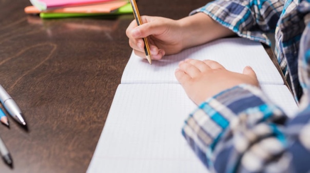 Lagos oferece cadernos de atividades a todos os alunos do 1.&ordm; ciclo no pr&oacute;ximo ano letivo