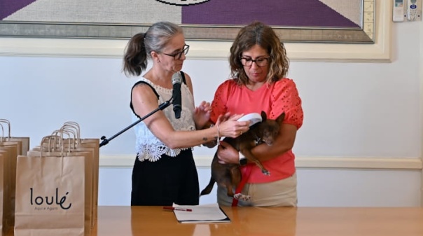 C&acirc;mara de Loul&eacute; refor&ccedil;a investimento no bem-estar animal 