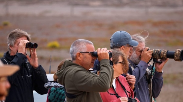 Programa do Festival de Observa&ccedil;&atilde;o de Aves com novidades por explorar