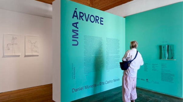 H&aacute; nova visita guiada &agrave; exposi&ccedil;&atilde;o "Uma &Aacute;rvore" em Tavira 