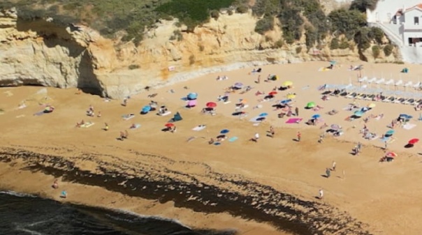 Lagoa testa recolha de alga invasora diretamente no mar
