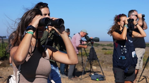 Arranca amanh&atilde; em Sagres o maior festival de natureza do pa&iacute;s