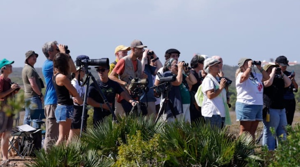 Festival de Observa&ccedil;&atilde;o de Aves de Sagres atraiu 1.568 participantes de 30 nacionalidades