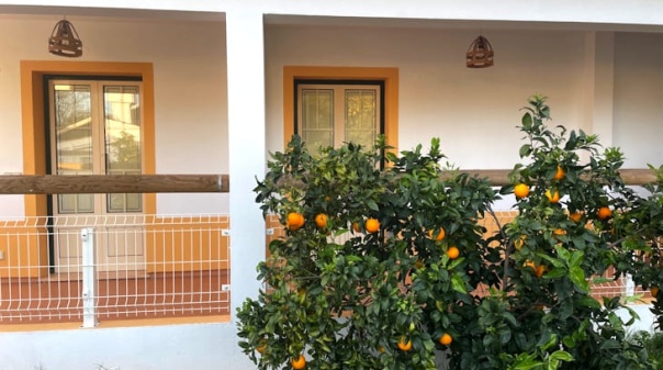Algarve Central abre candidaturas a apoios para diversifica&ccedil;&atilde;o da economia rural