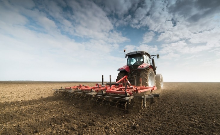 Seca: Agricultores do Algarve só aceitarão cortes de água iguais para todos