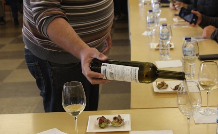 Visita guiada e prova de vinhos algarvios no Museu Municipal de Tavira