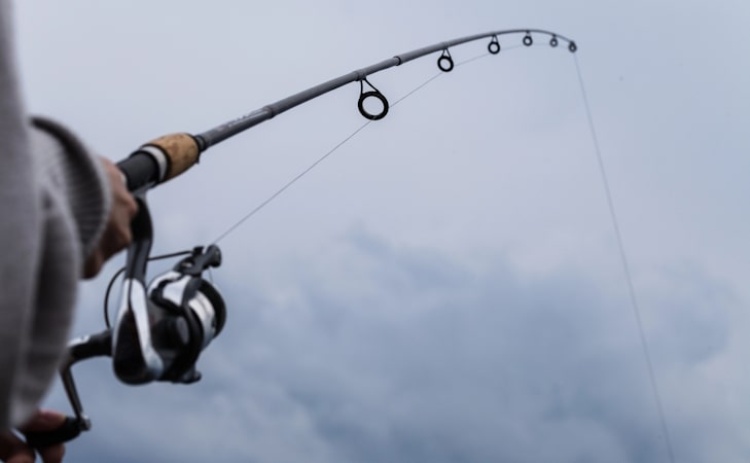 Albufeira recebe Campeonato do Mundo de Clubes de Pesca Desportiva 
