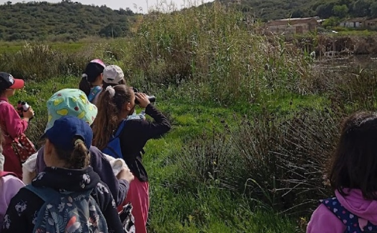 Formação em Lagoa parte à descoberta das aves migratórias