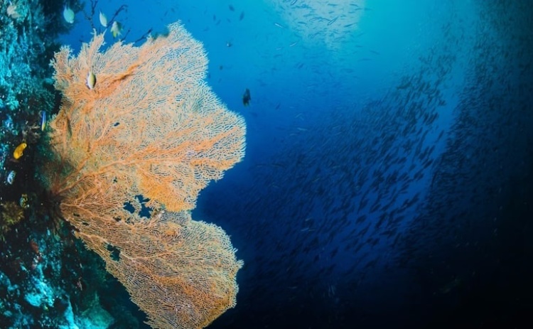 2ª Conferência do Mar está de regresso a Armação de Pêra