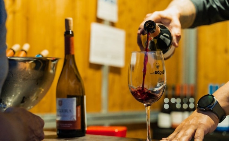 Lagoa Wine Show regressa em junho com Buba Espinho, Entre Aspas e Dino D'Santiago 
