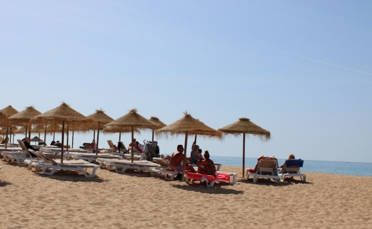 Bióloga alerta que macroalga invasora pode ser problema grave para turismo do Algarve
