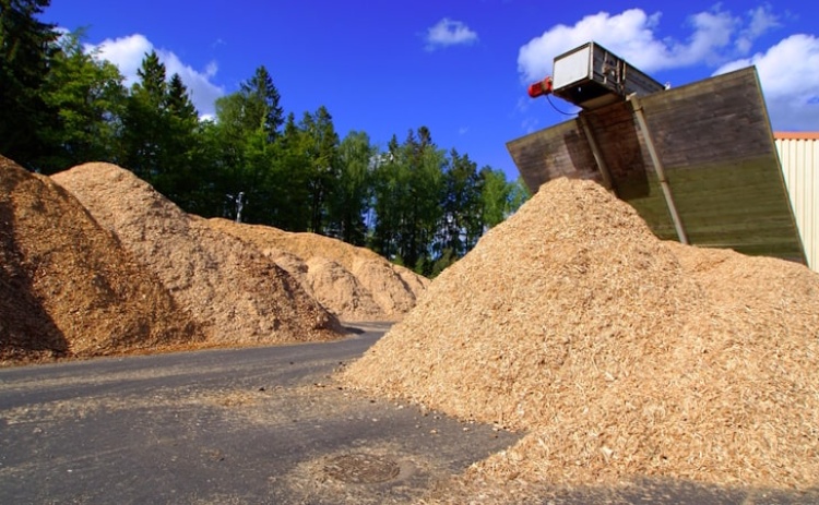 Fundo Ambiental apoia instalação de central de biomassa no Município de Silves 