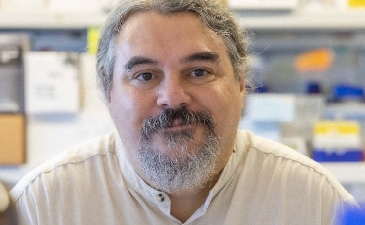 Investigador da UAlg distinguido por trabalho inovador na área das doenças cardíacas congénitas