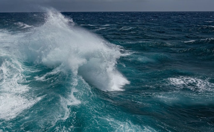 Portugal atinge 30% de área marinha protegida em 2026 com nova reserva entre Sagres e Madeira