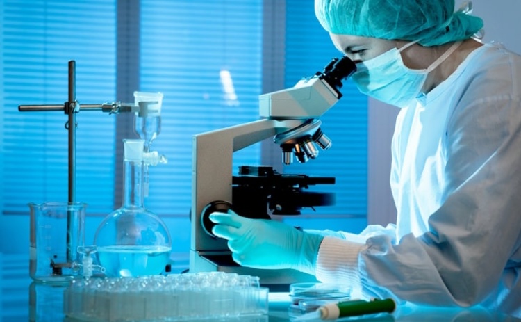 Algarve aposta na economia azul para mudar futuro da alimentação e farmacologia