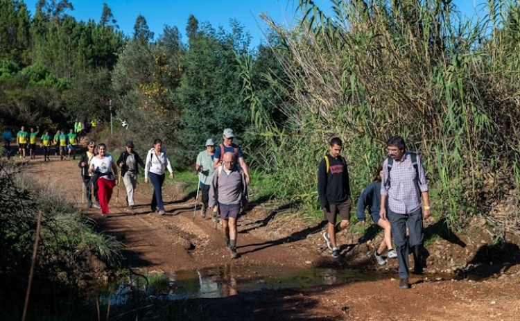Passeio pedestre de São Martinho na Cortelha inclui sabores do interior 
