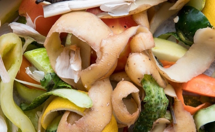 Lagoa superou em 11% objetivo da taxa de recolha de biorresíduos em 2024 