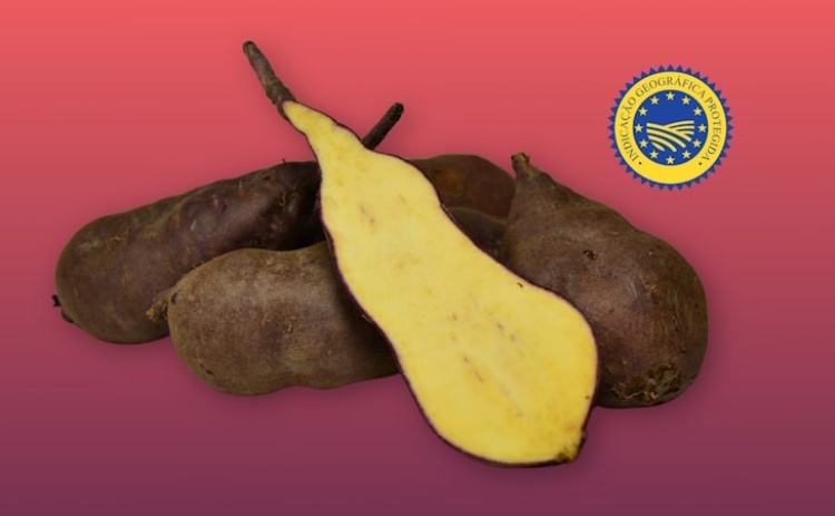 Festival da Batata-Doce de Aljezur valoriza "símbolo da identidade do concelho"