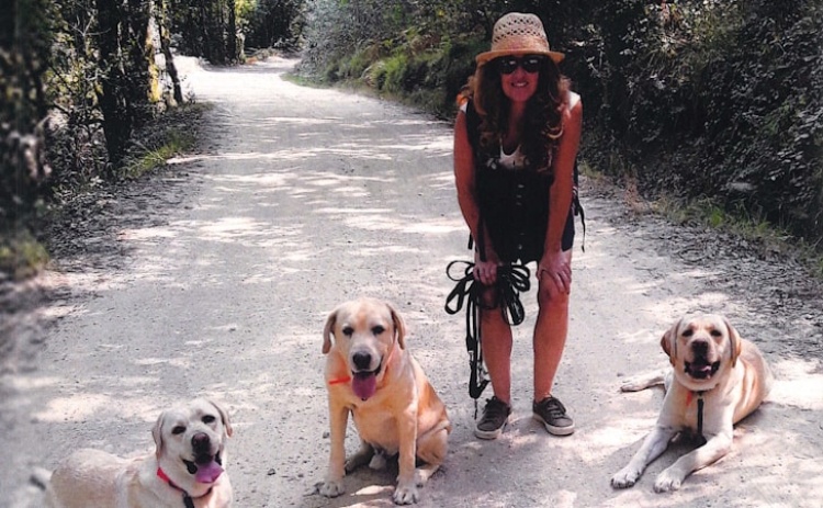Docente apresenta livro em Loulé que aborda a doença oncológica 