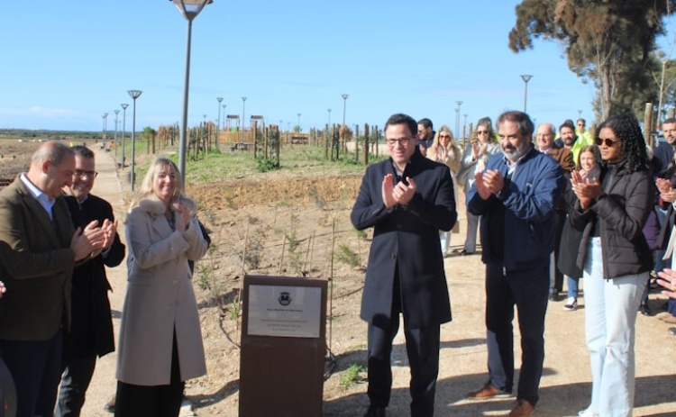 Olh&atilde;o tem uma nova zona de contempla&ccedil;&atilde;o da natureza 