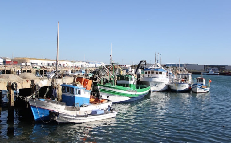 Munic&iacute;pio sa&uacute;da investimento no Porto de Pesca de Olh&atilde;o mas diz que h&aacute; outras necessidades maiores