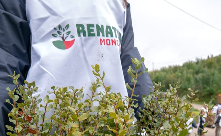 Ryanair volta a financiar refloresta&ccedil;&atilde;o da serra de Monchique 