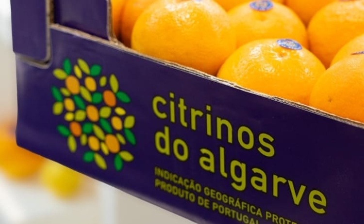 Citrinos do Algarve IGP levam sabor portugu&ecirc;s ao mercado alem&atilde;o
