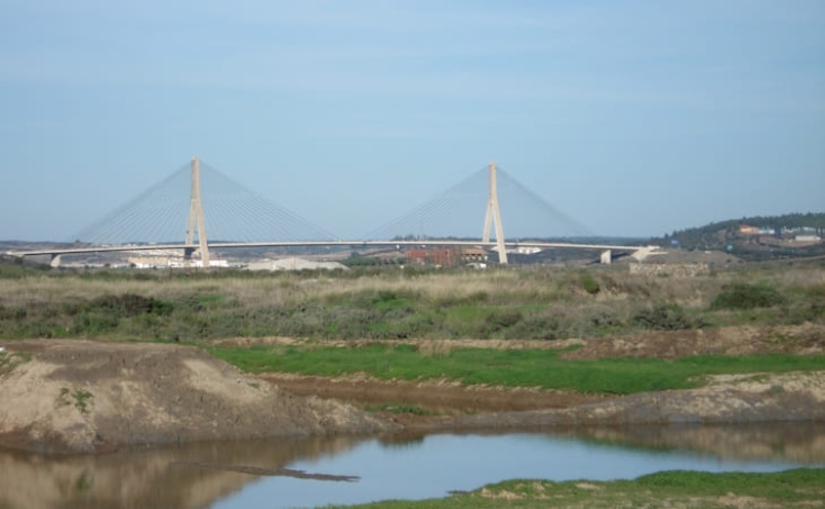 Estabelecidas Zonas Especiais de Conserva&ccedil;&atilde;o em duas zonas protegidas do Algarve