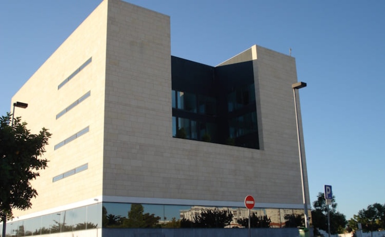 Olga Roriz e a dupla Ana Borralho e Jo&atilde;o Galante em destaque no Teatro das Figuras em 2026