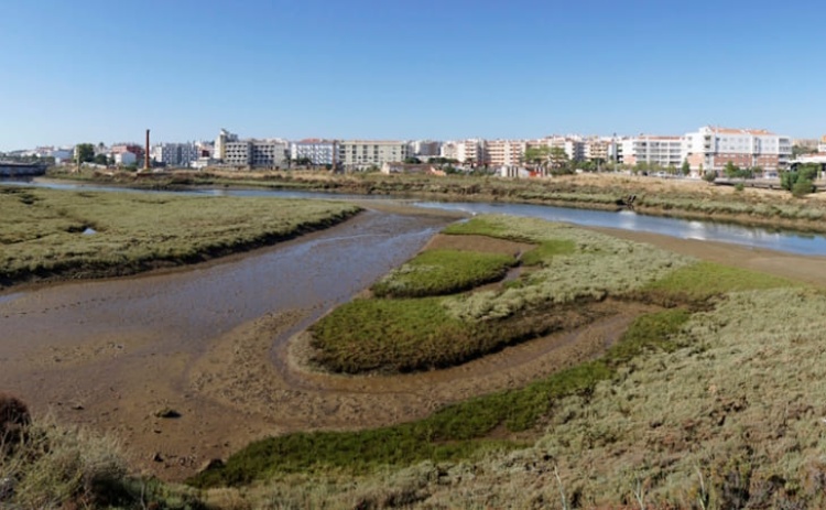 Especialistas v&atilde;o a Lagos explicar import&acirc;ncia de zonas h&uacute;midas