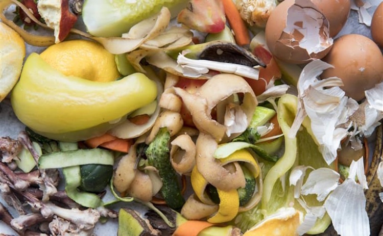 Algar e AMAL v&atilde;o reunir sobre os desafios dos biorres&iacute;duos no Algarve 