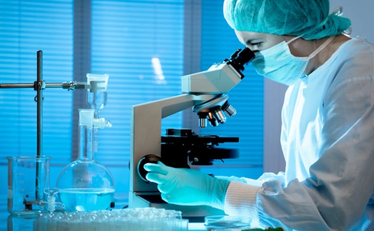 Algarve 2030 abre concursos de apoio ao investimento em tecnologias digitais e biotecnologia