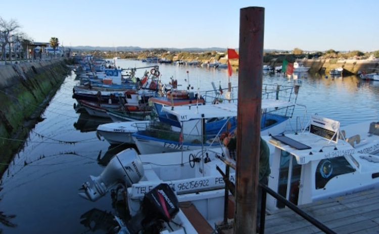 Mau tempo: Pescadores algarvios impedidos de ir ao mar passam dificuldades