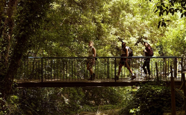 Este fim de semana, &laquo;o melhor do Algarve&raquo; mostra-se no Mundo Abreu