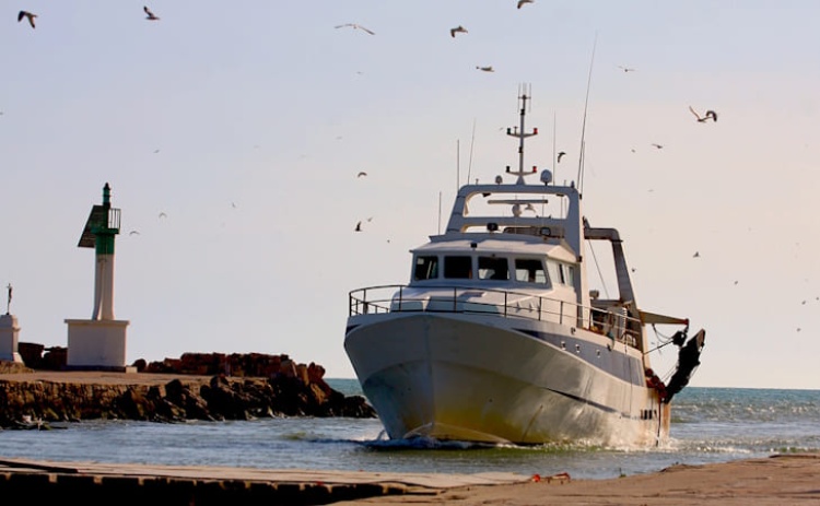 Governo disponibiliza apoio extraordin&aacute;rio de 3,5 ME para setor da pesca